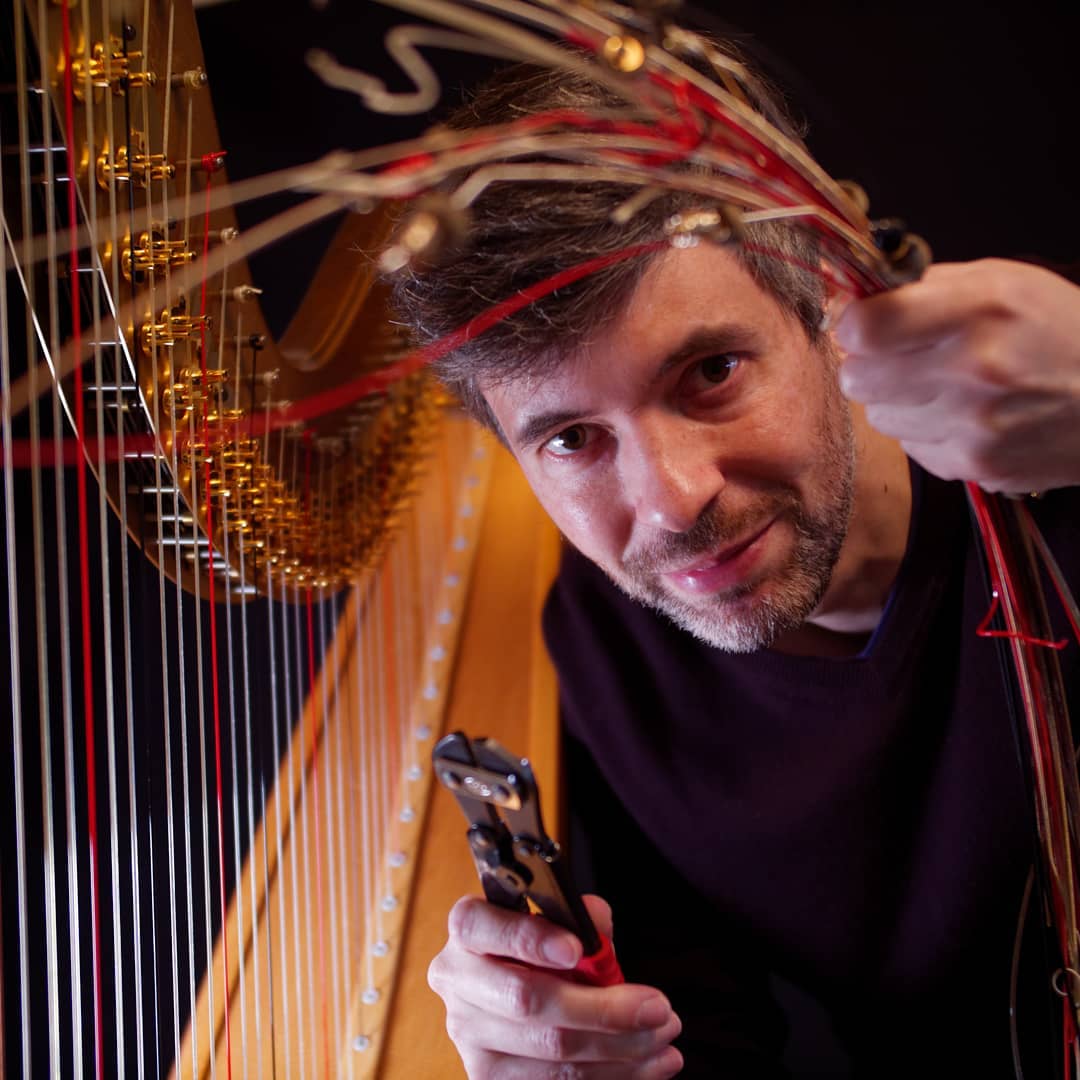 harptuesday